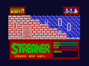 Streaker (1987)(Bulldog)[a] ROM